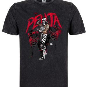 Polera Penta El Zero Miedo – Mineral Wash