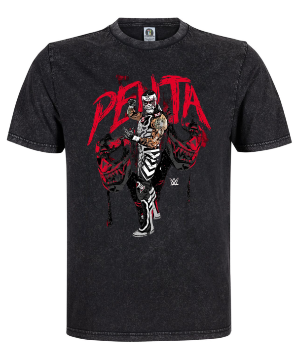 Polera Penta El Zero Miedo – Mineral Wash